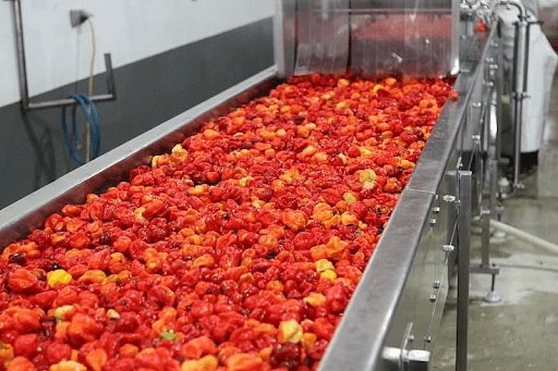 Cleaning and Preparing Ingredients for smoothie manufacturing in a factory